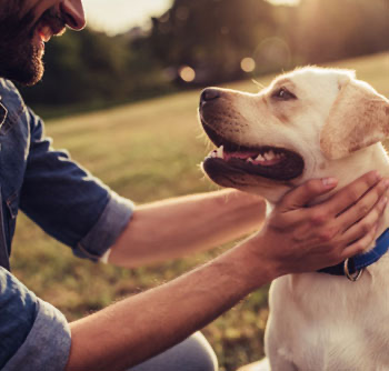 homeowner and dog
